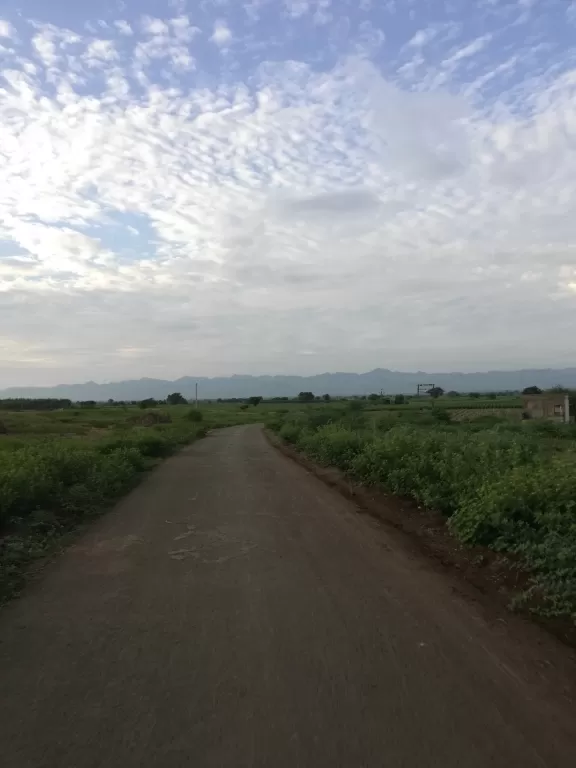 Cover Image of Mayur Patel