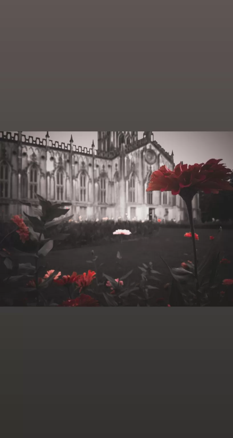 Cover Image of aleXman