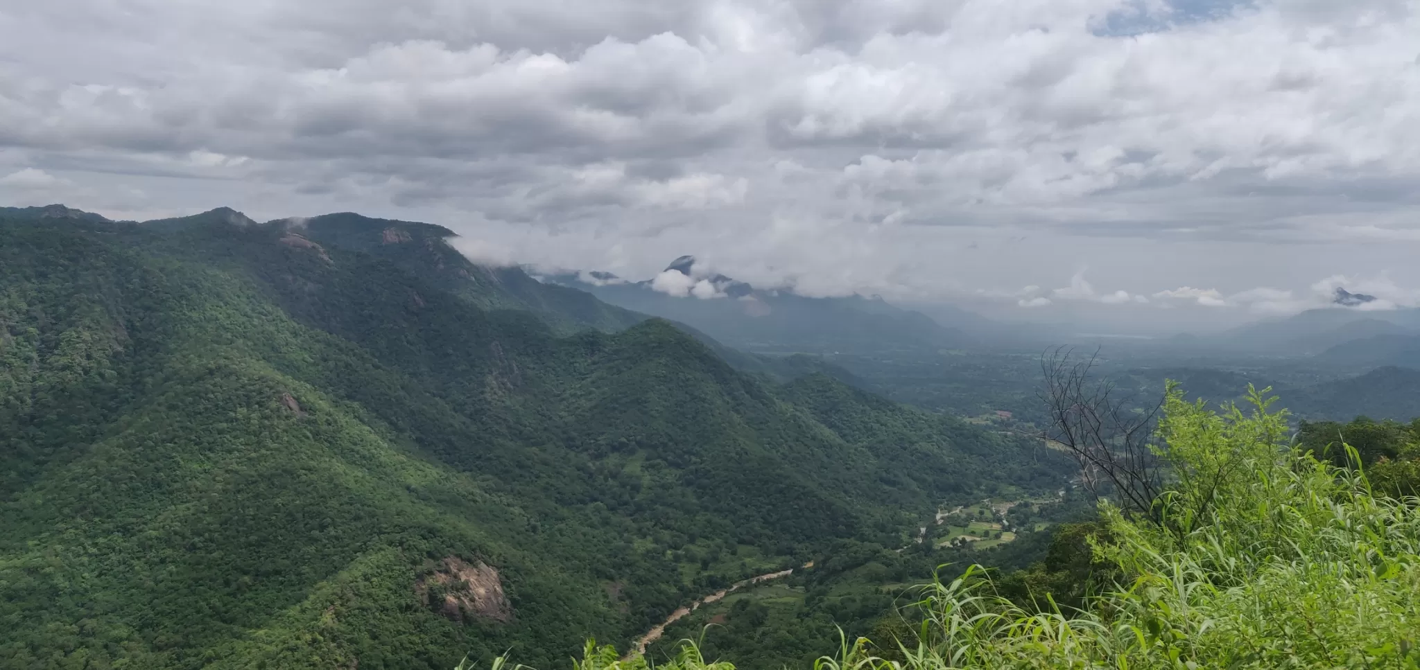 Cover Image of Ashutosh Jena