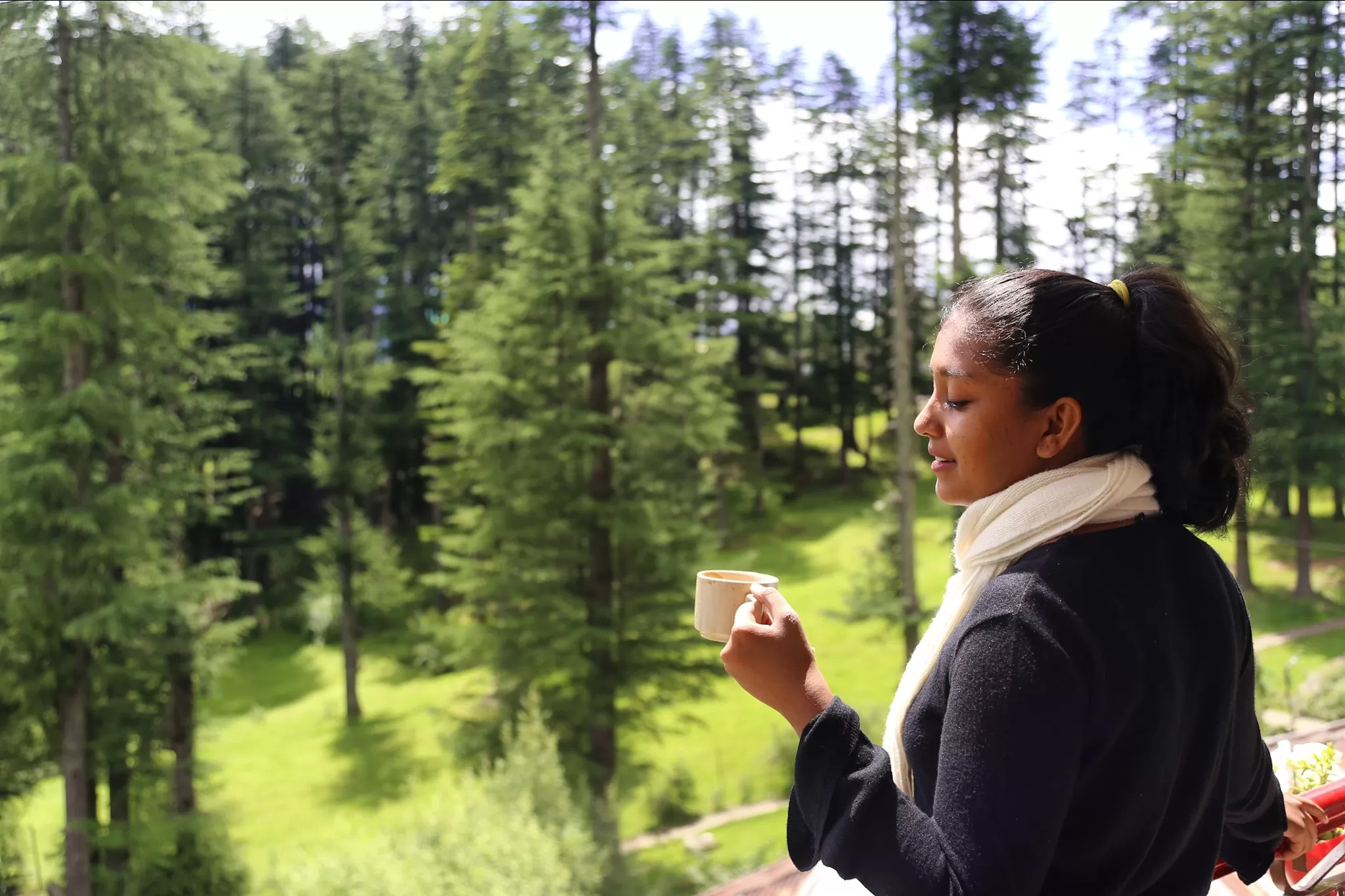 Cover Image of Anu Pallavi