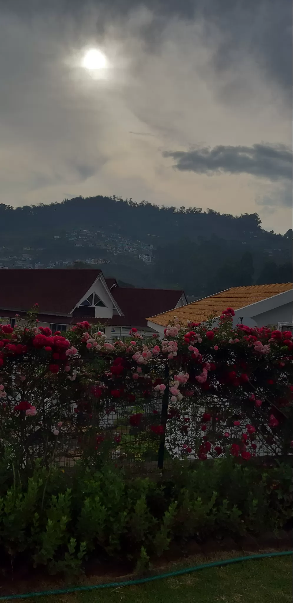 Cover Image of Priyanka Saha