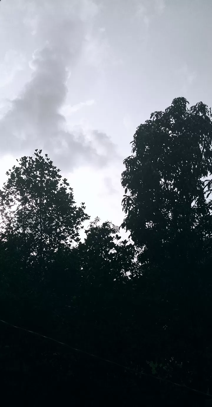 Cover Image of swapnil patil