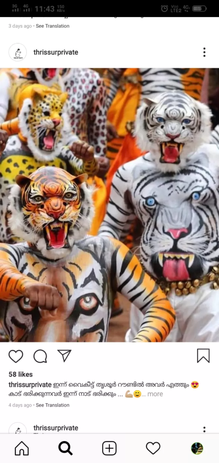 Cover Image of _______dream_catcher______