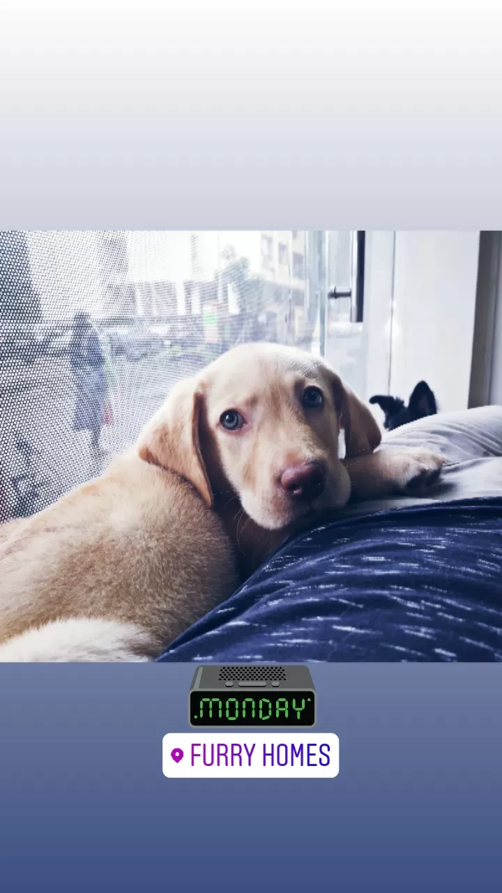 Cover Image of Omkar Desai