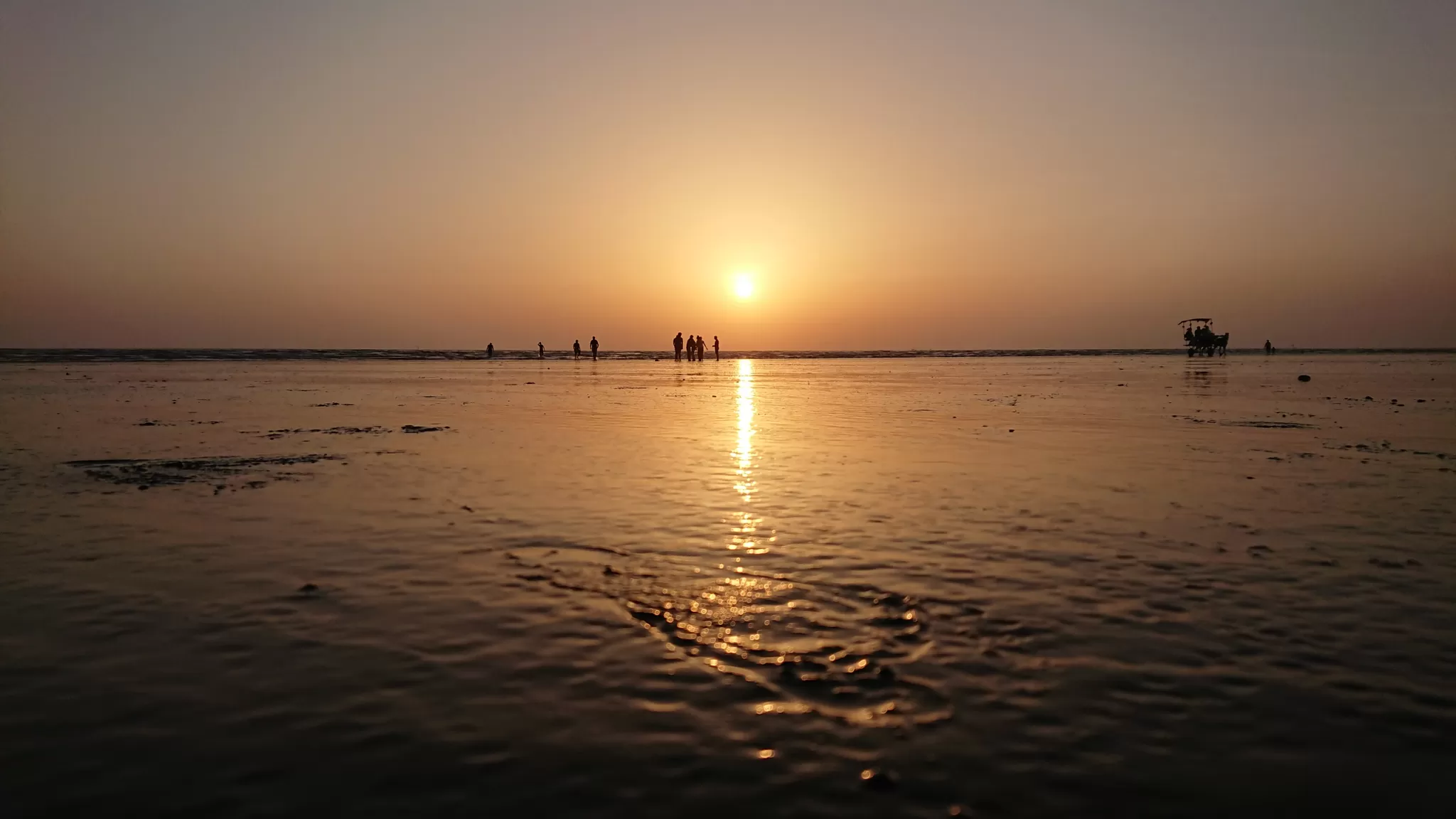 Cover Image of Ankit Garg