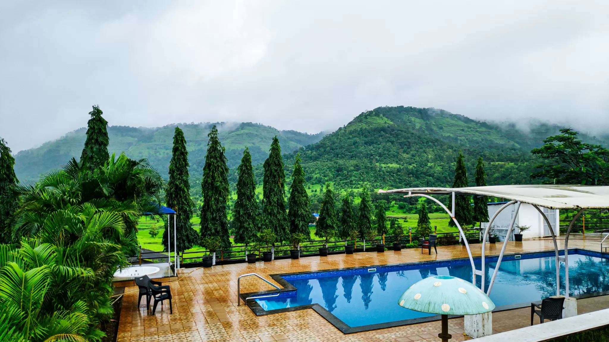 Cover Image of Apan Patel