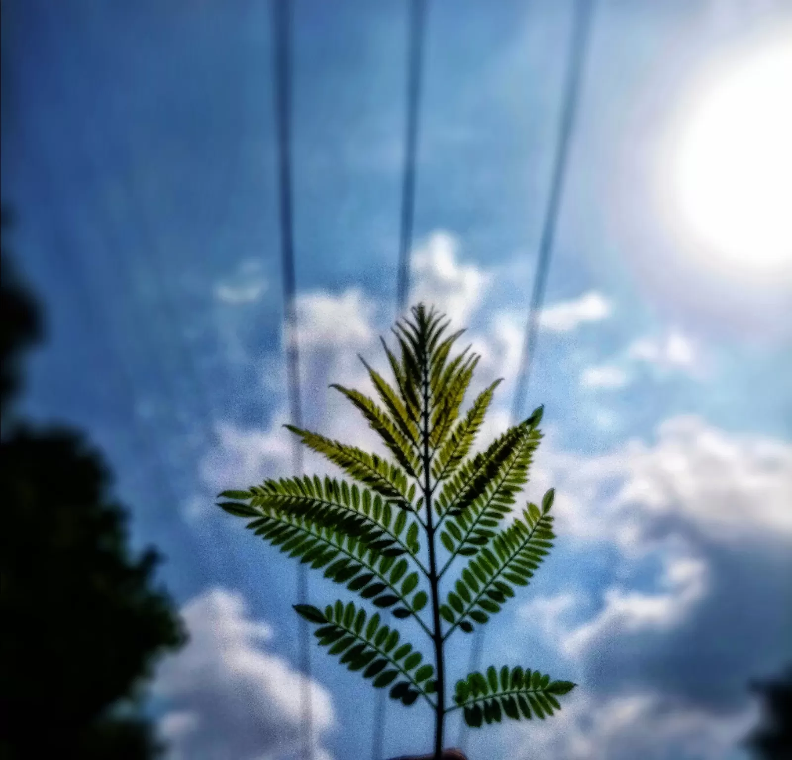 Cover Image of Praveen Sharma