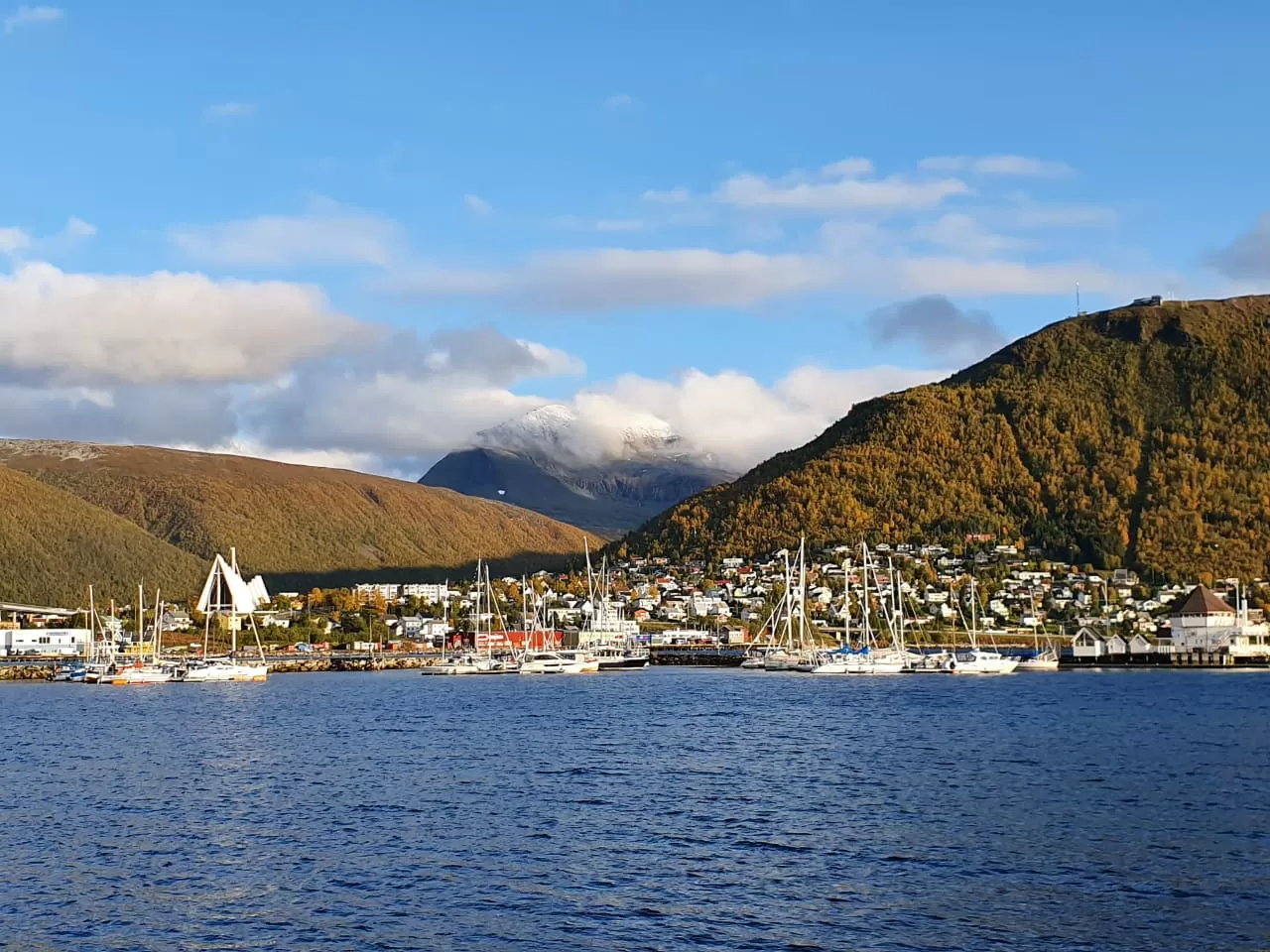 Cover Image of Russell Cardozo