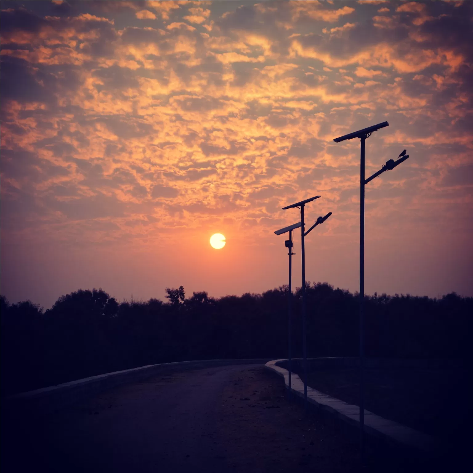 Cover Image of Neeraj Meena