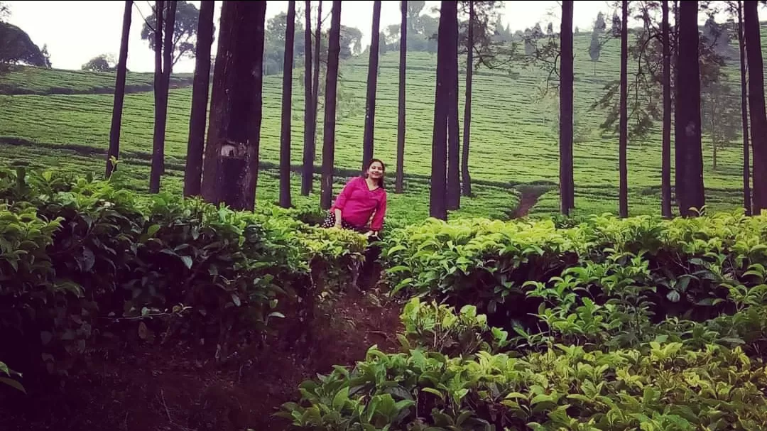 Cover Image of Tuhina Dey