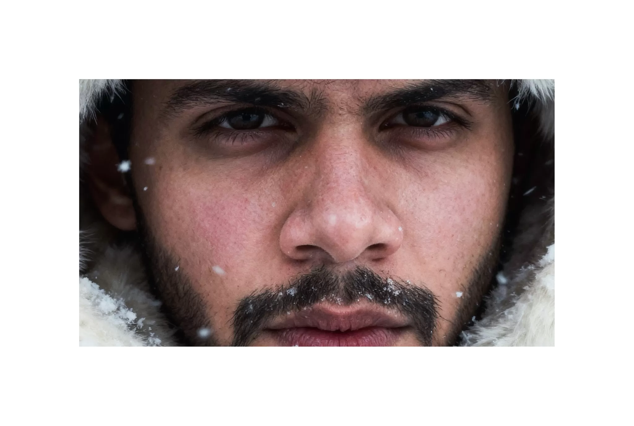 Cover Image of Aditya Tripathi