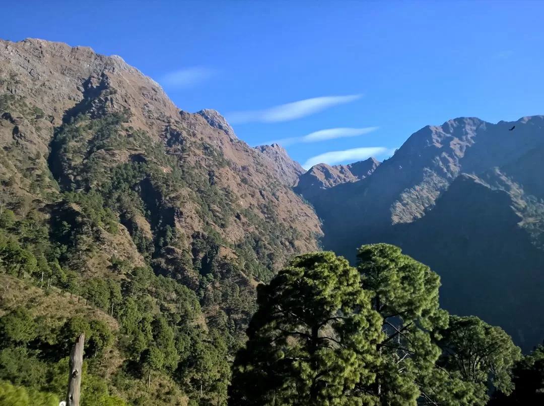 Cover Image of Vedãnt Siñgh