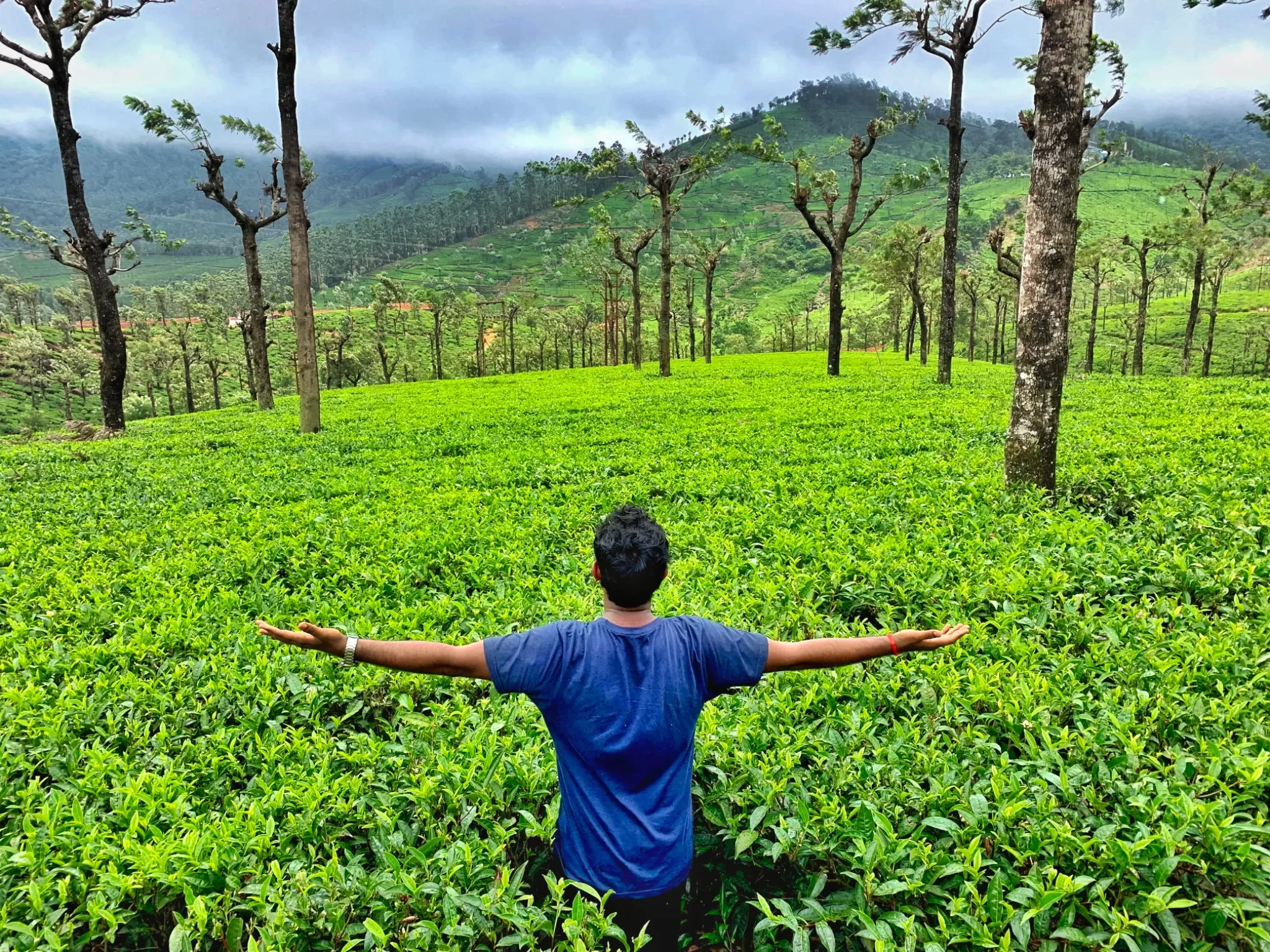 Cover Image of Vikash Kumar