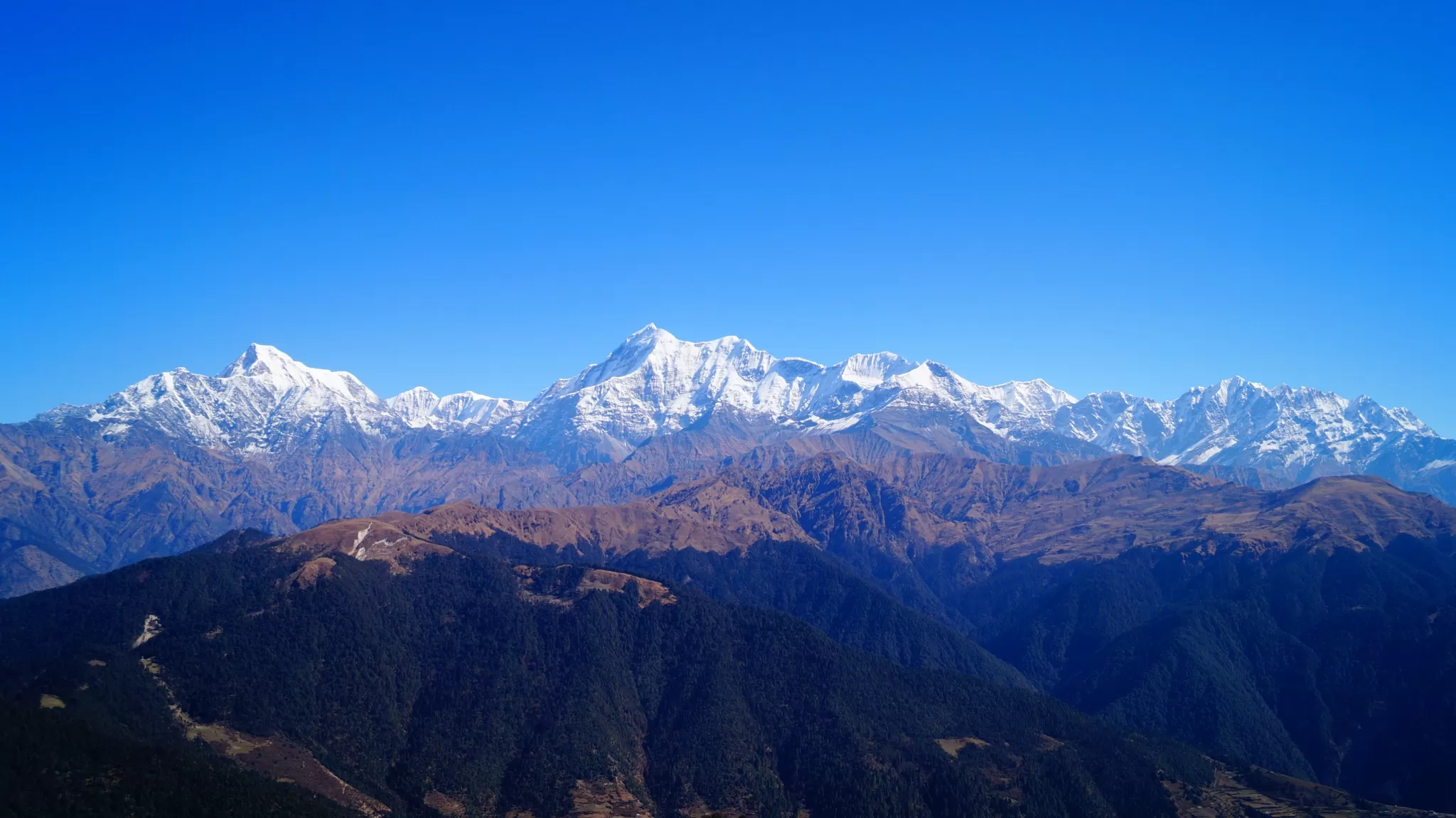 Cover Image of imjay
