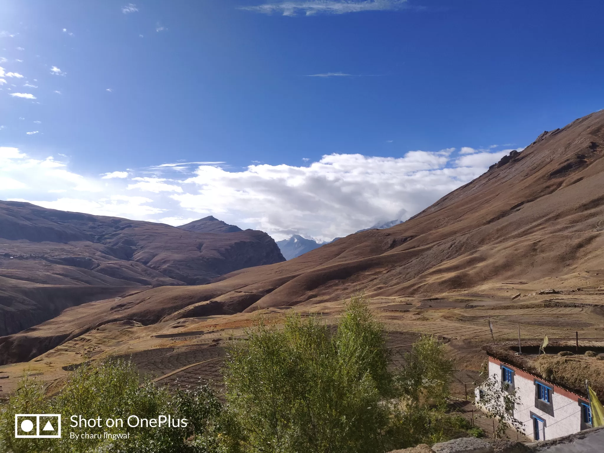 Cover Image of charu lingwal