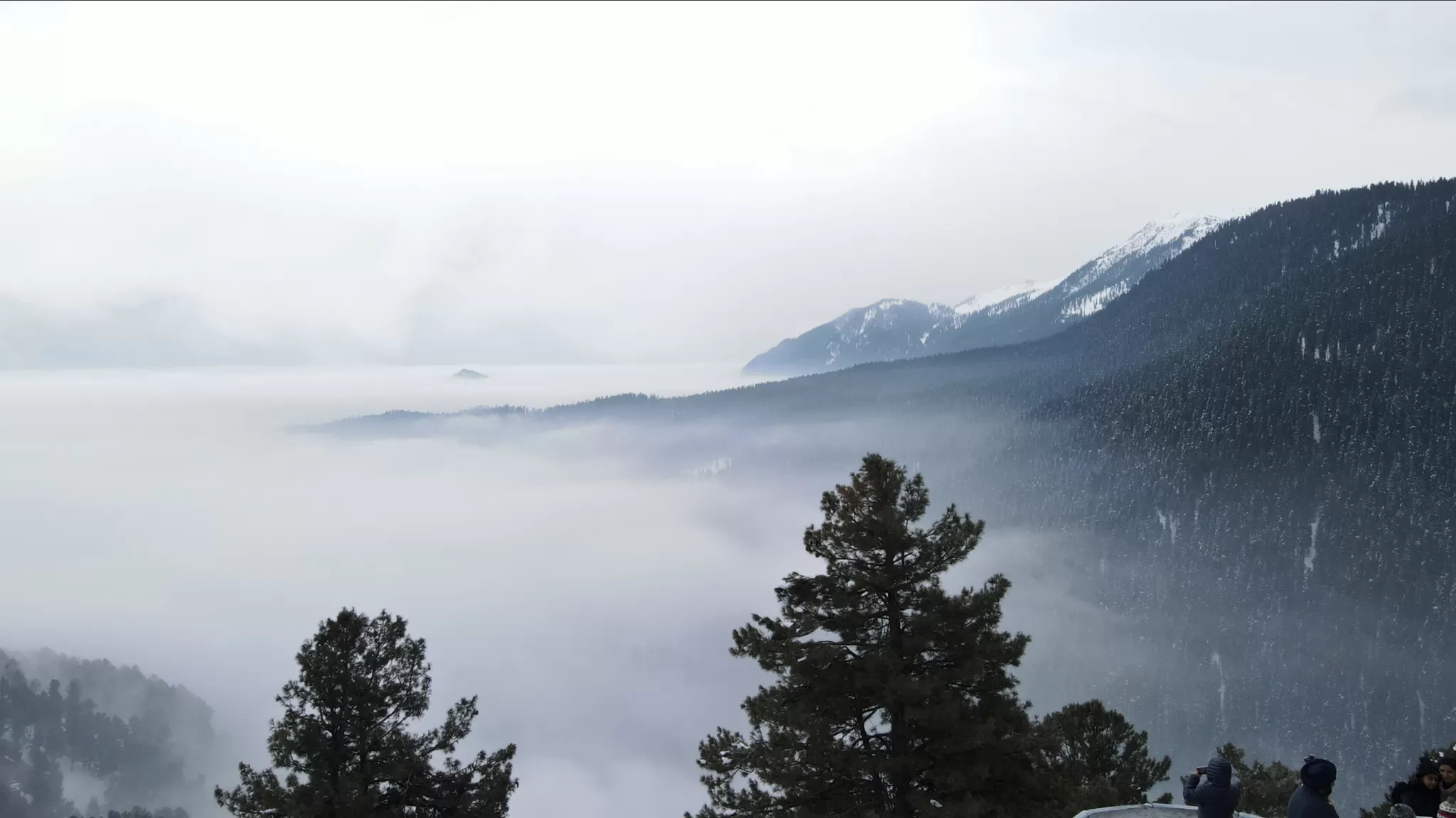 Cover Image of Tehzoon J K