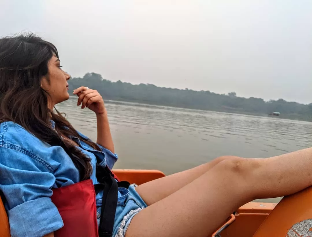 Cover Image of Panku Chatterbox