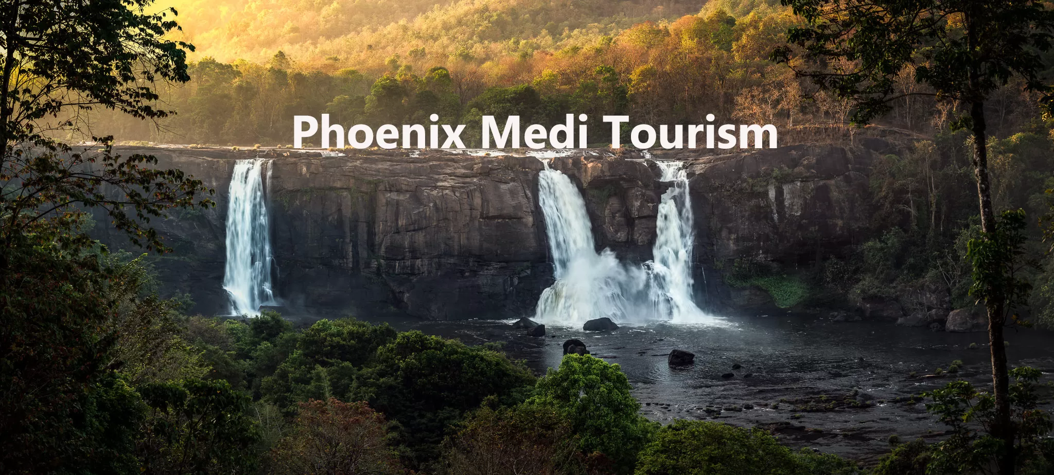 Cover Image of Phoenix Medi Tourism