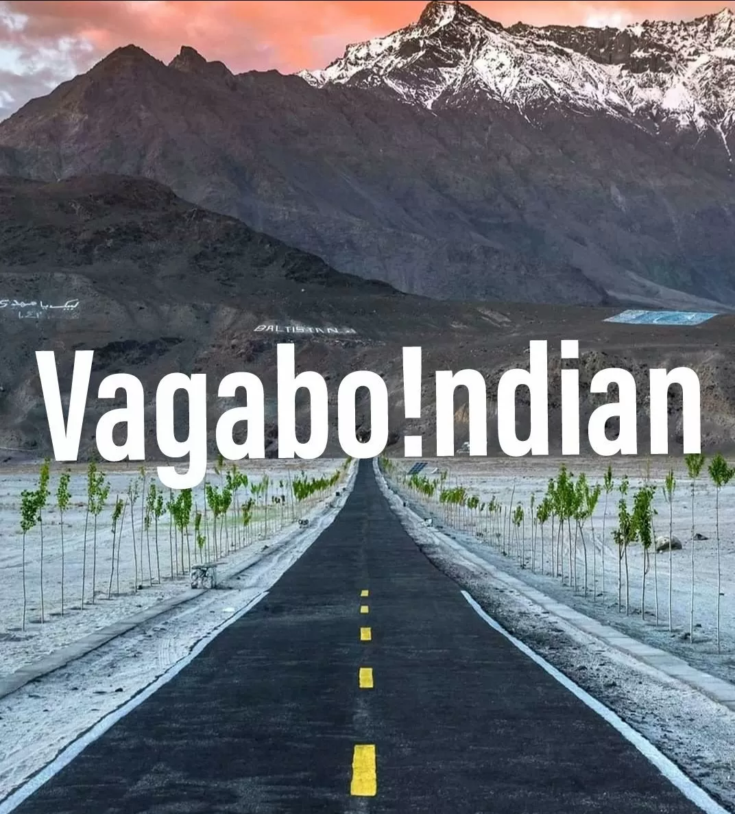 Cover Image of Vagabo!ndian