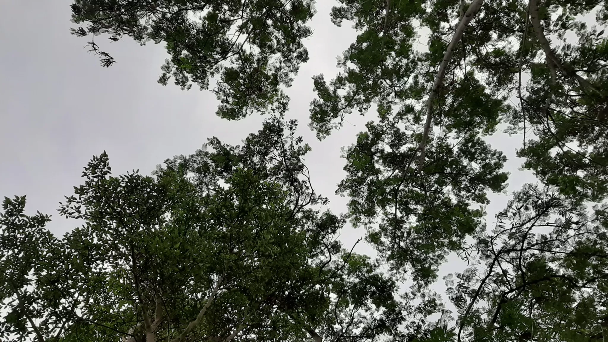 Cover Image of Pareekshith Rawal