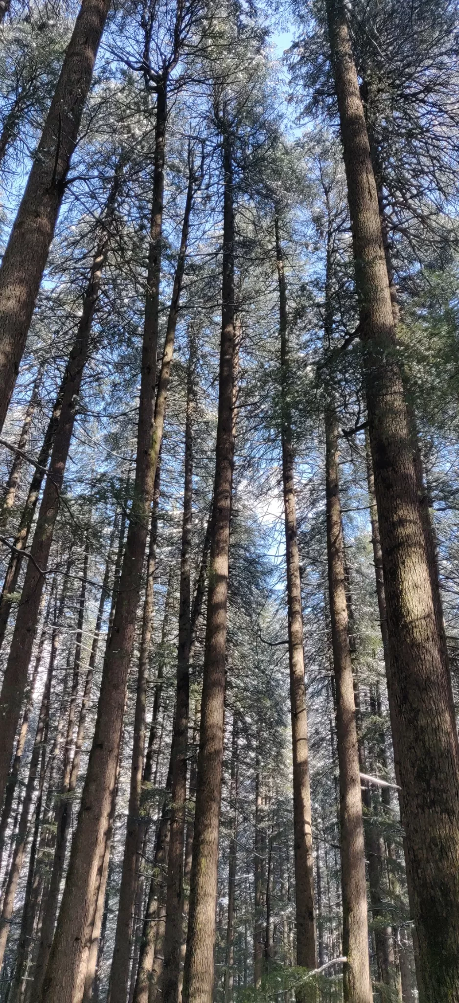 Cover Image of Reet!