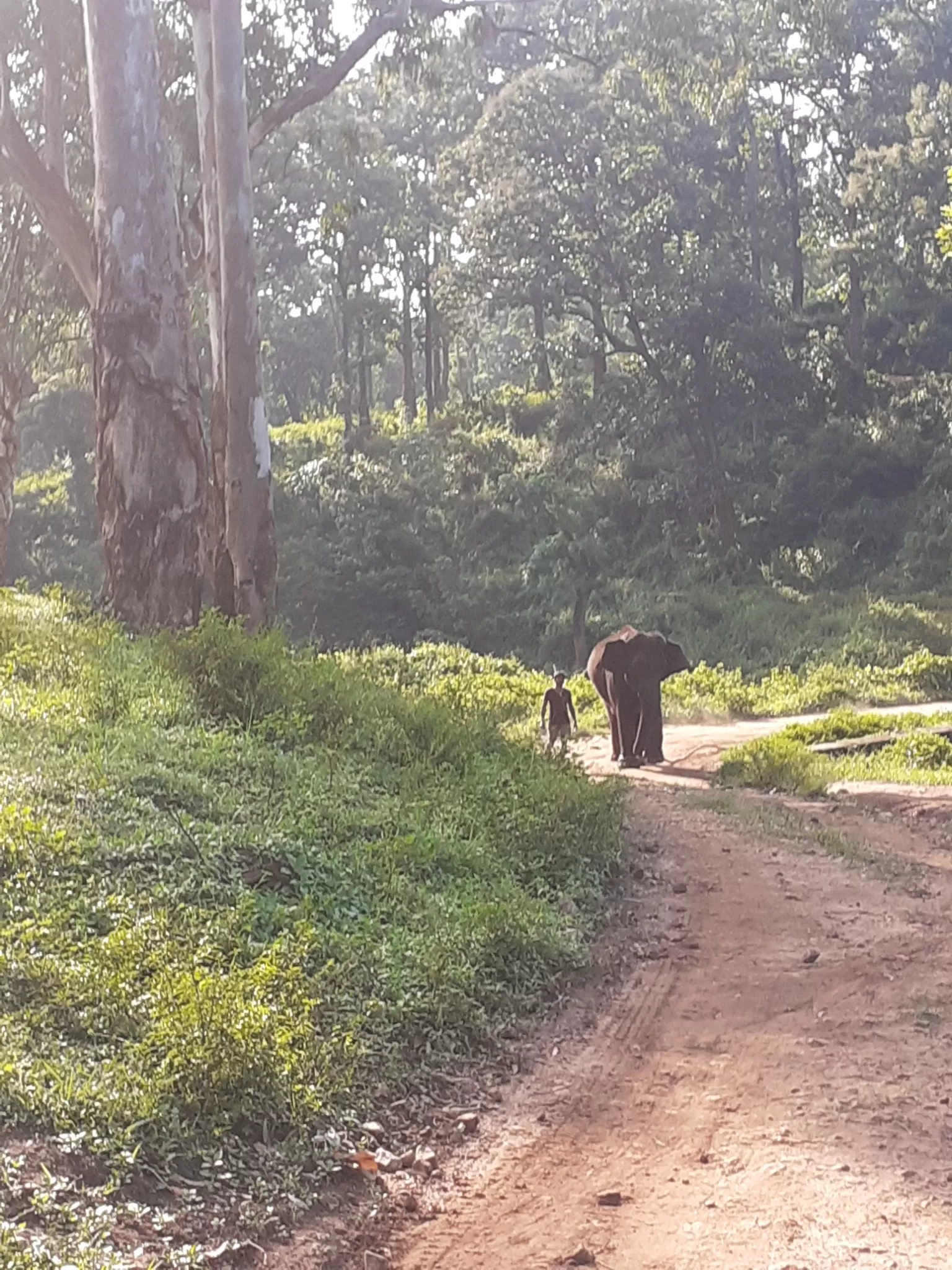 Cover Image of KartiK NP