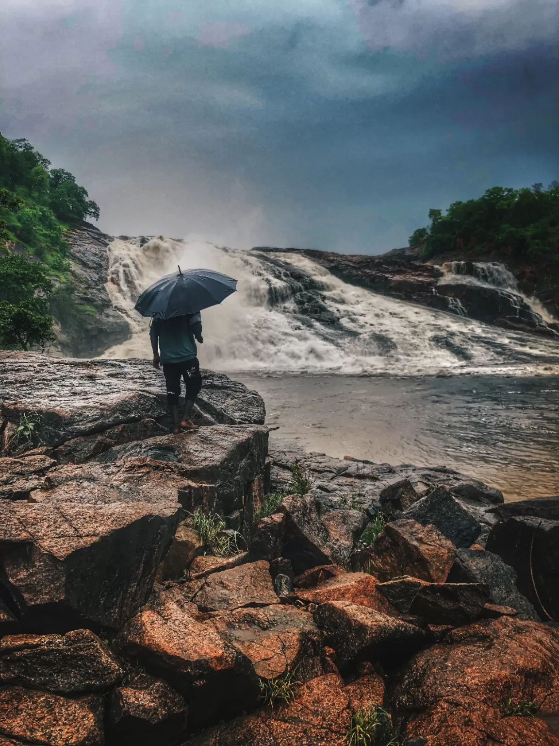Cover Image of Tejas Wink