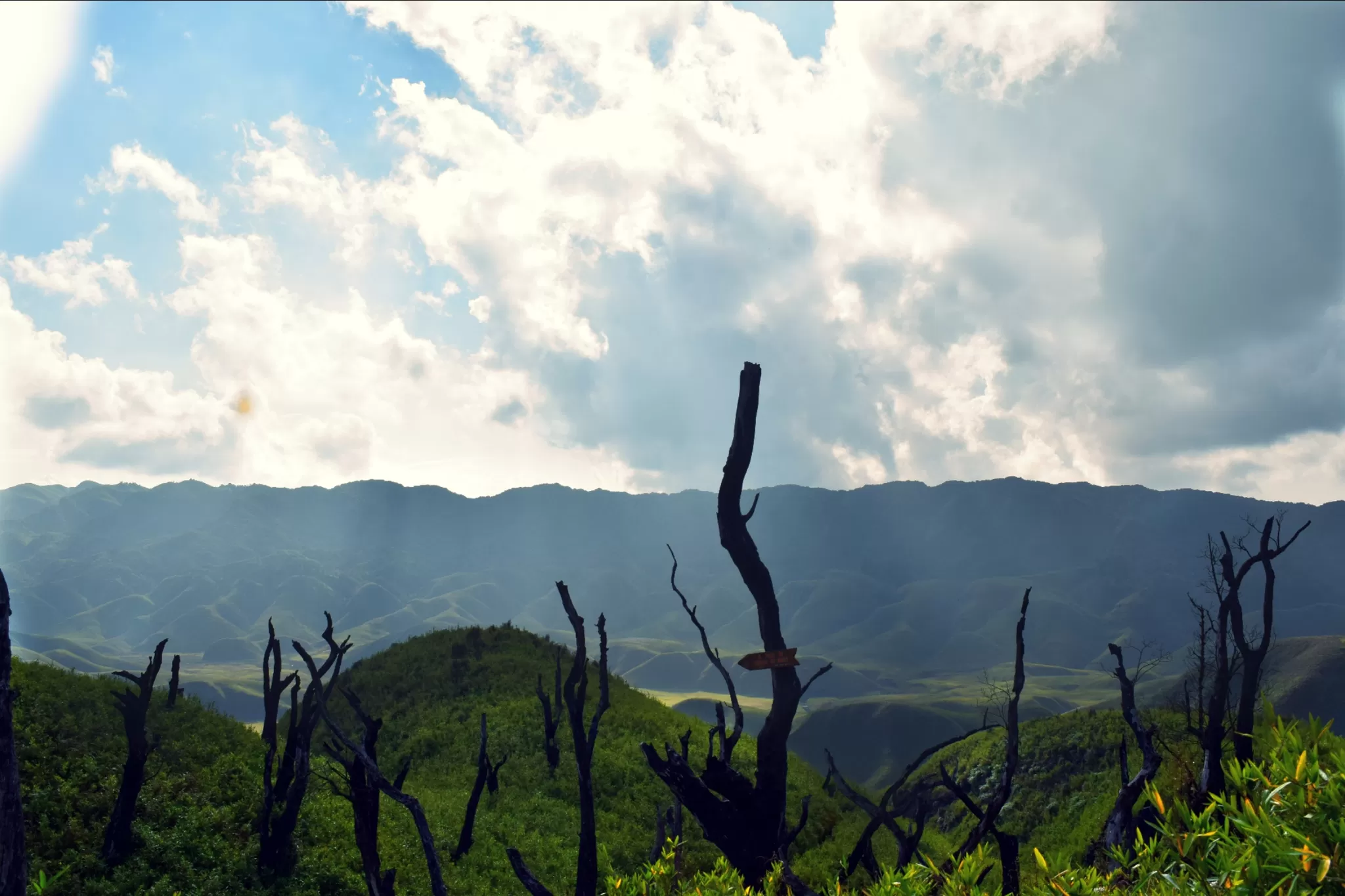 Cover Image of Kaushik Baruah