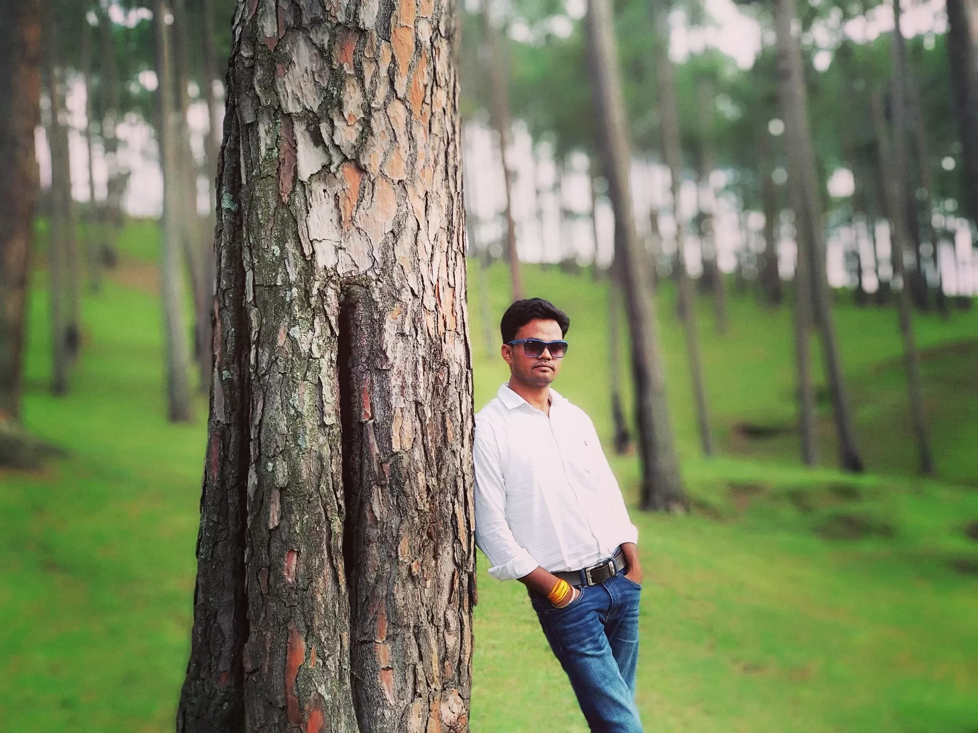 Cover Image of Bhanu pratap Singh