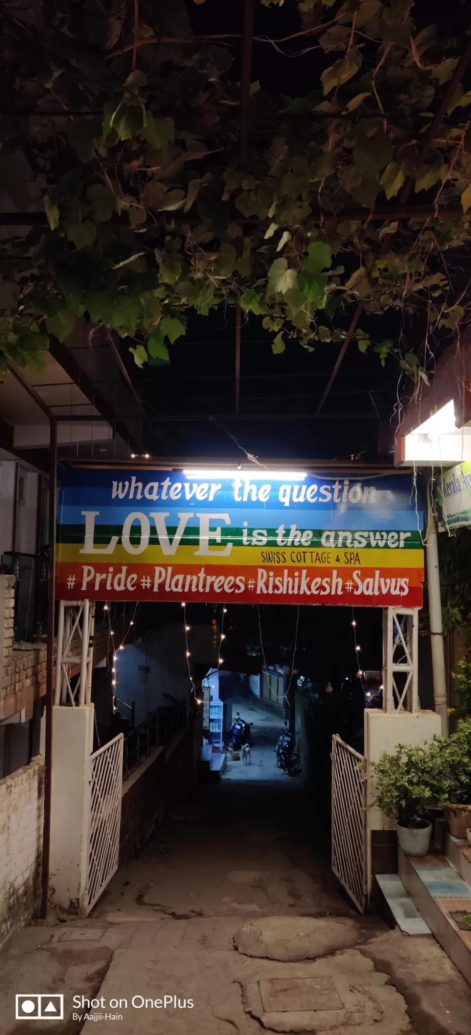 Cover Image of Ayush Awasthi