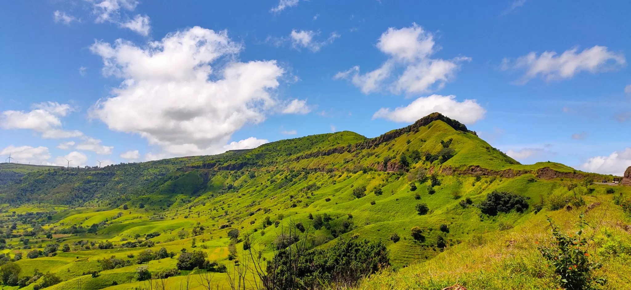 Cover Image of Sagar Gopale