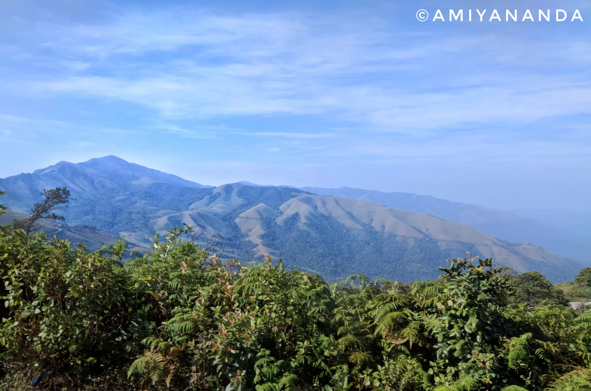 Cover Image of Amiya Nanda