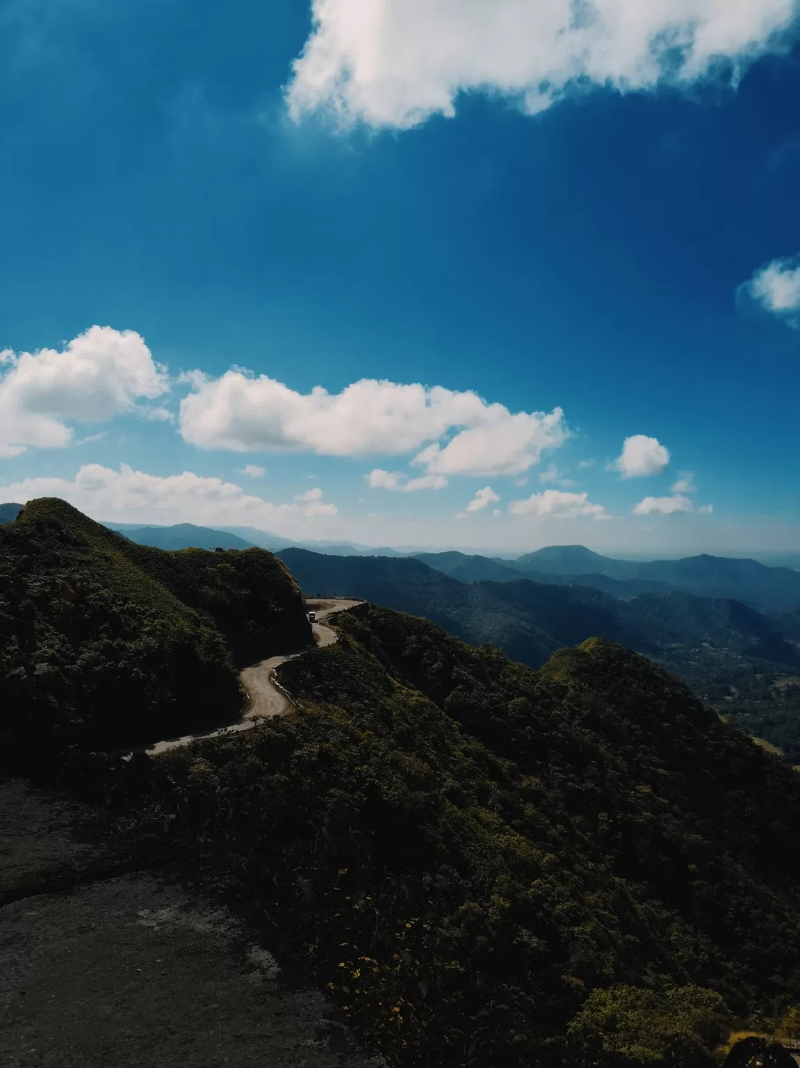 Cover Image of Geeta Pawar 