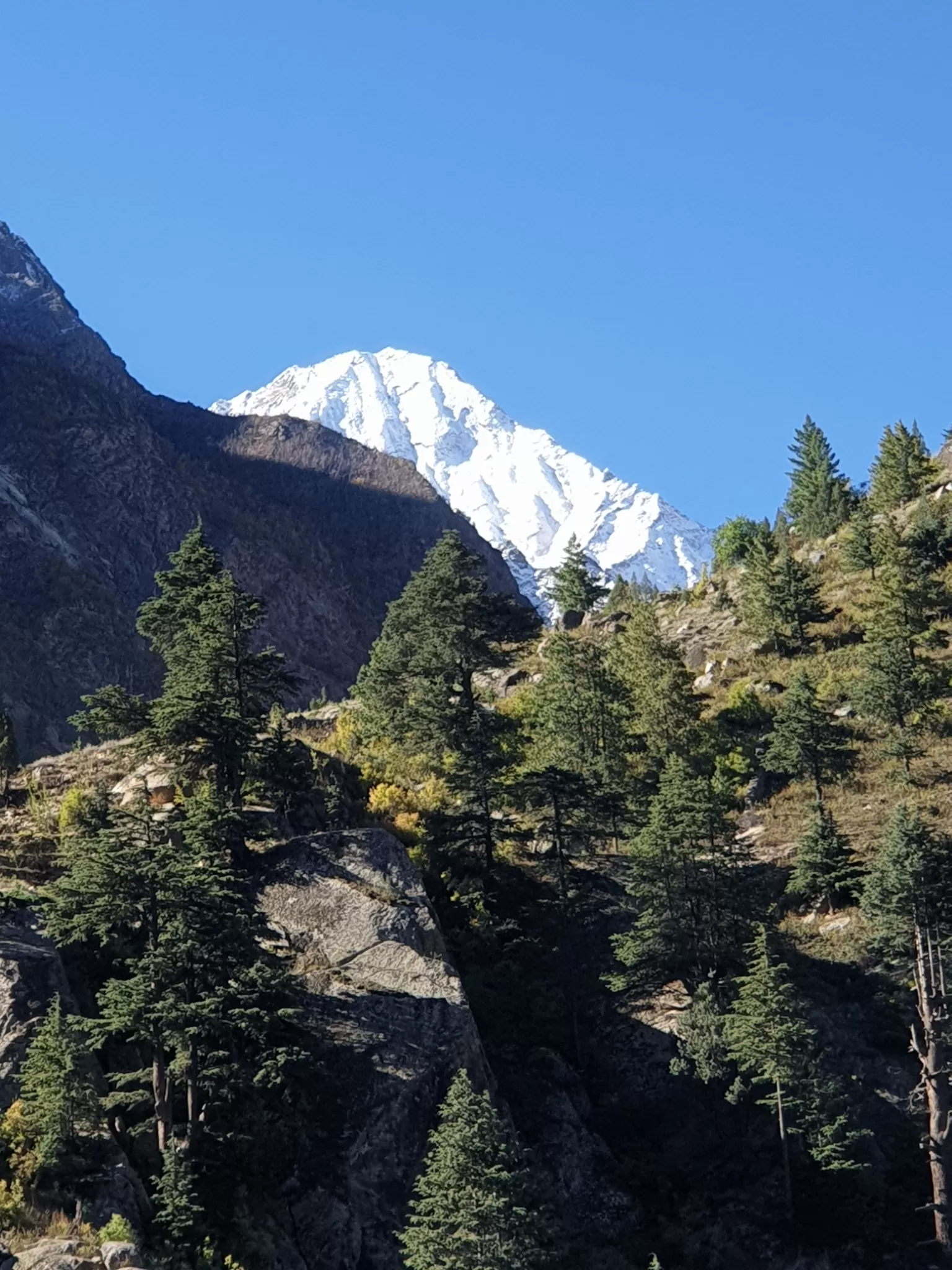 Cover Image of Kanad Abir Ray