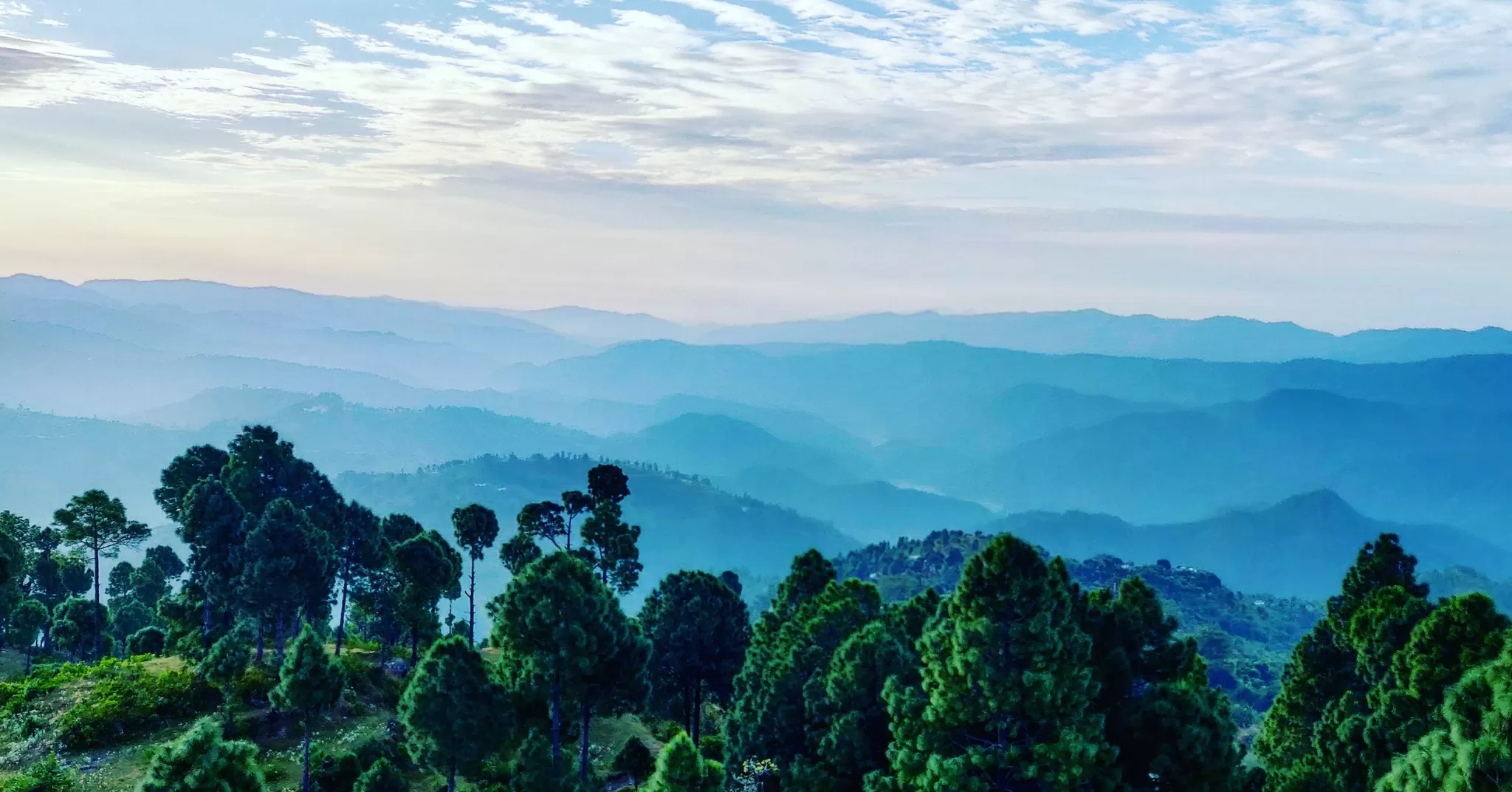 Cover Image of Pawan