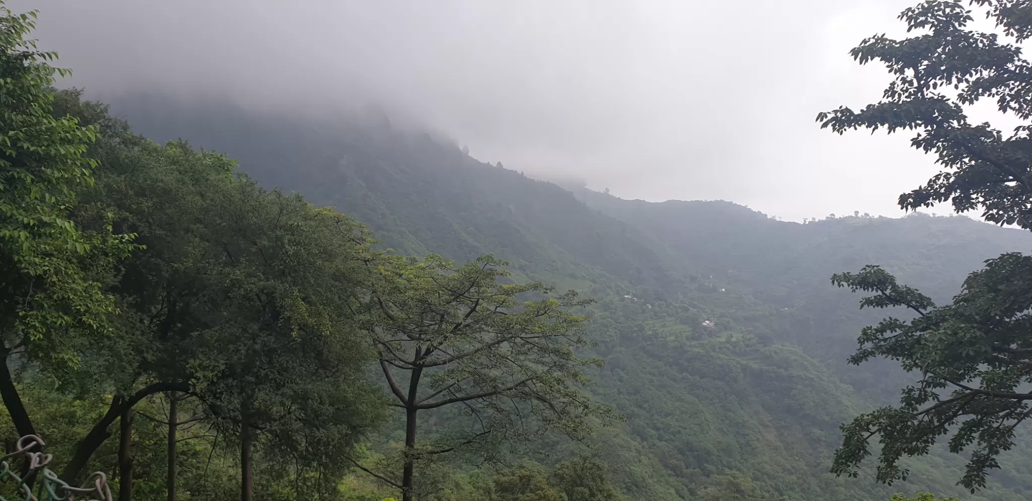 Cover Image of Deepanshu Goel