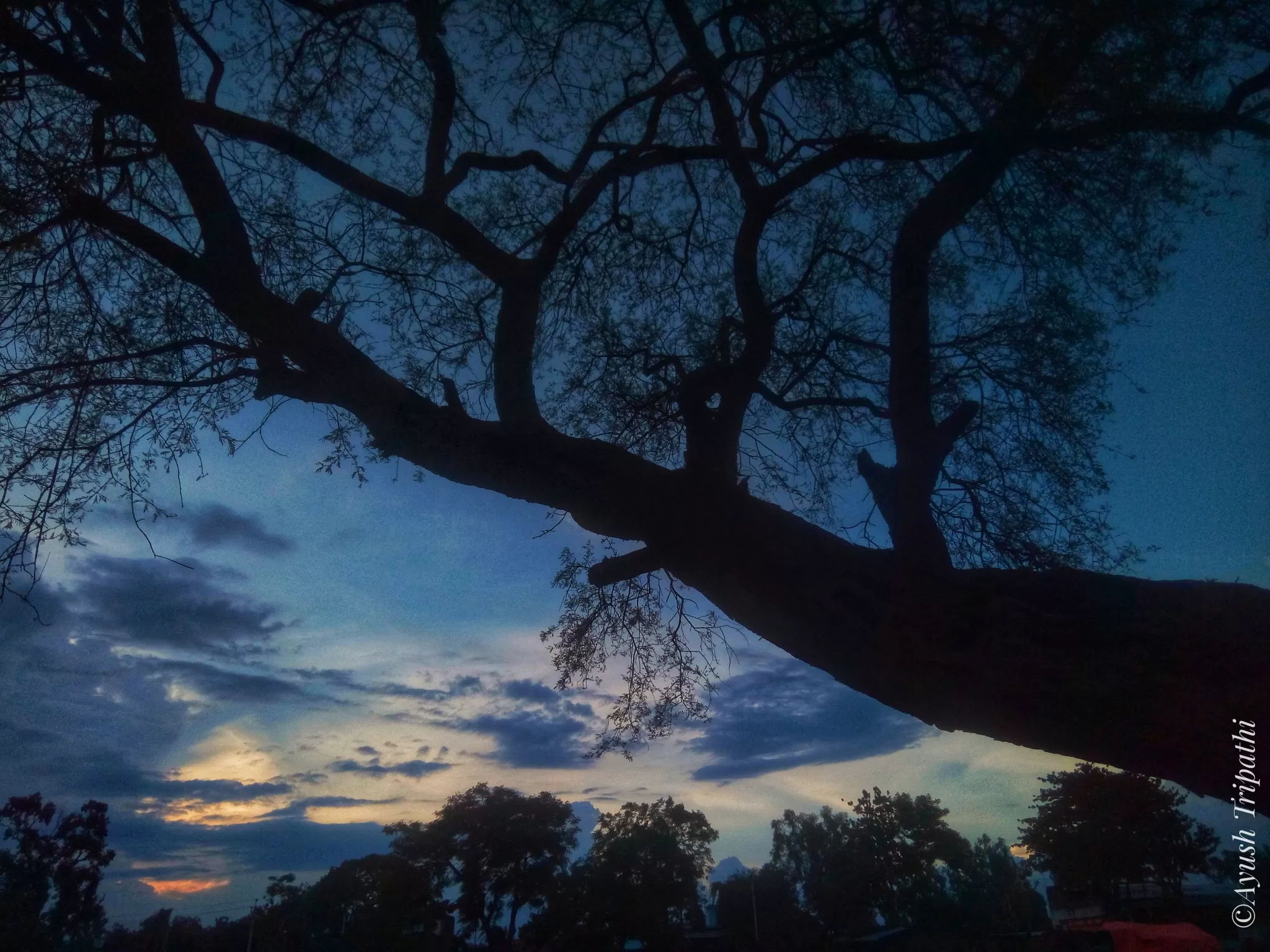 Cover Image of Ayush Tripathi