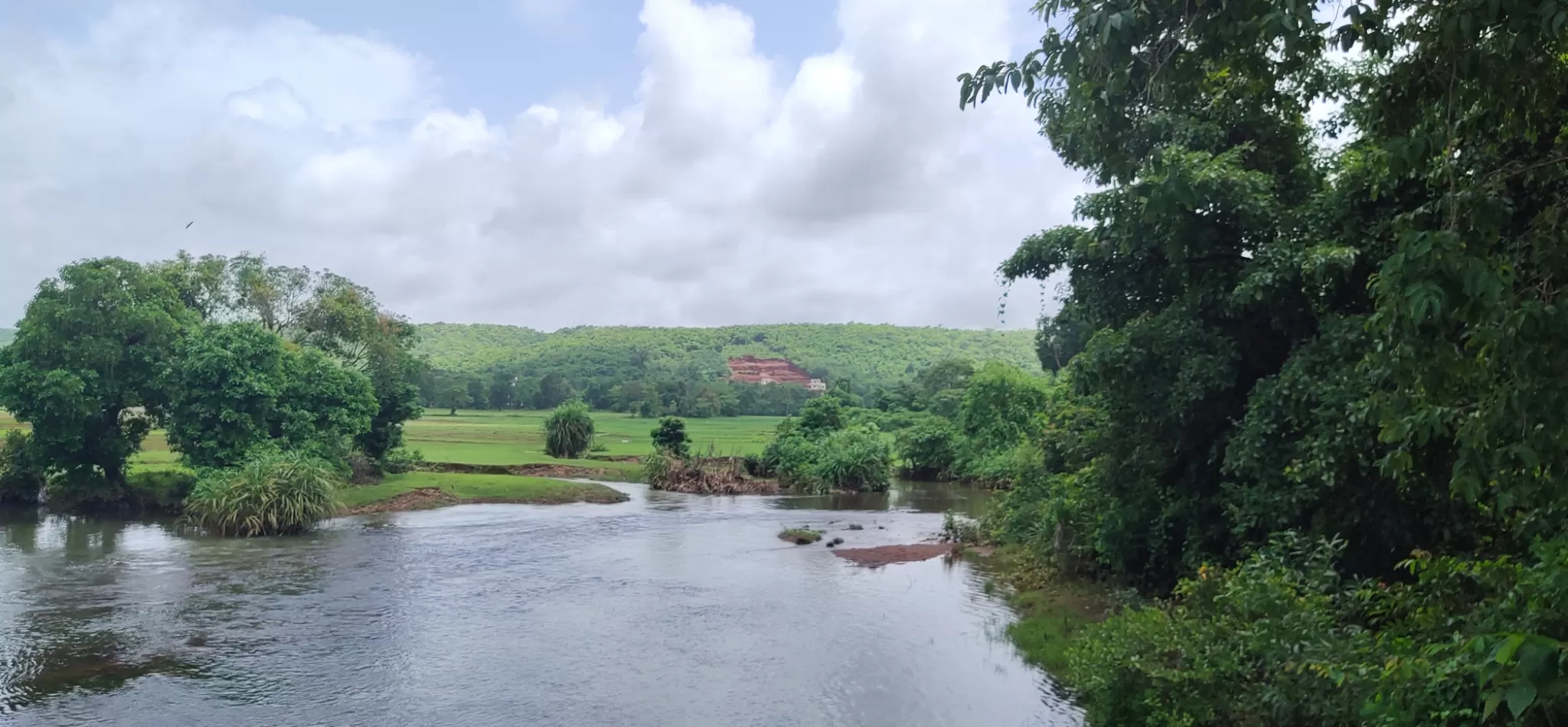 Cover Image of Sarita Singh