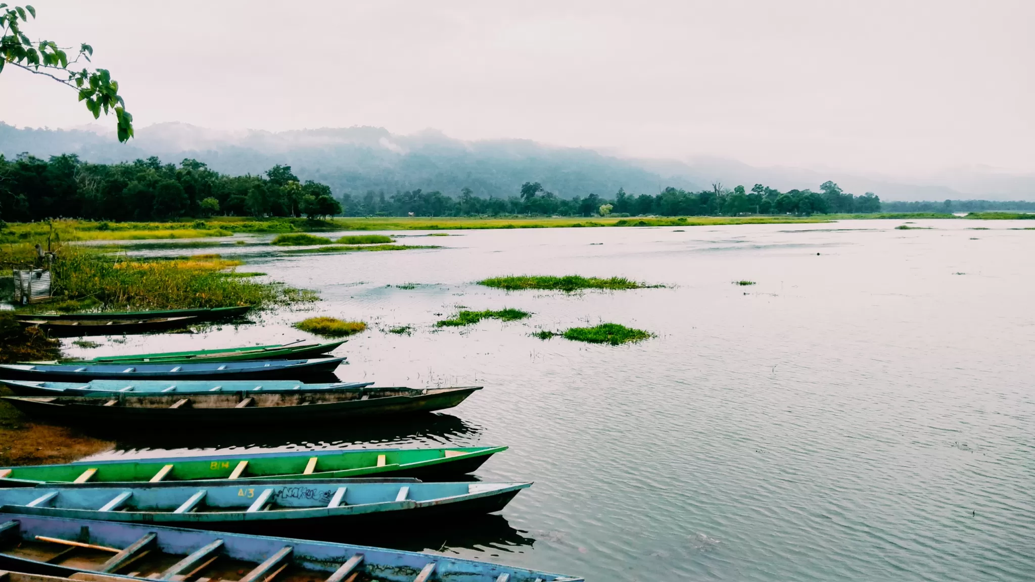 Cover Image of Debojit Das