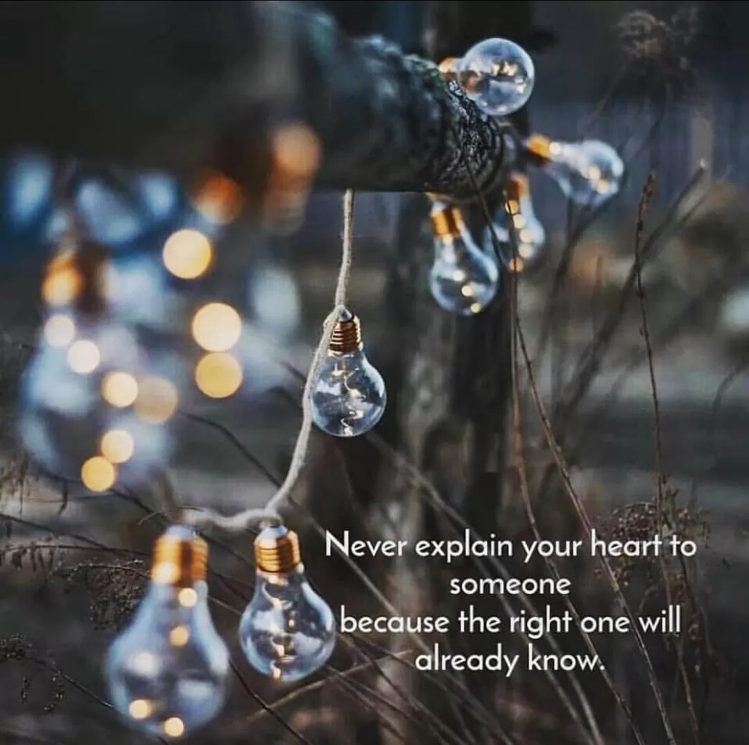 Cover Image of Sanyam Sharma