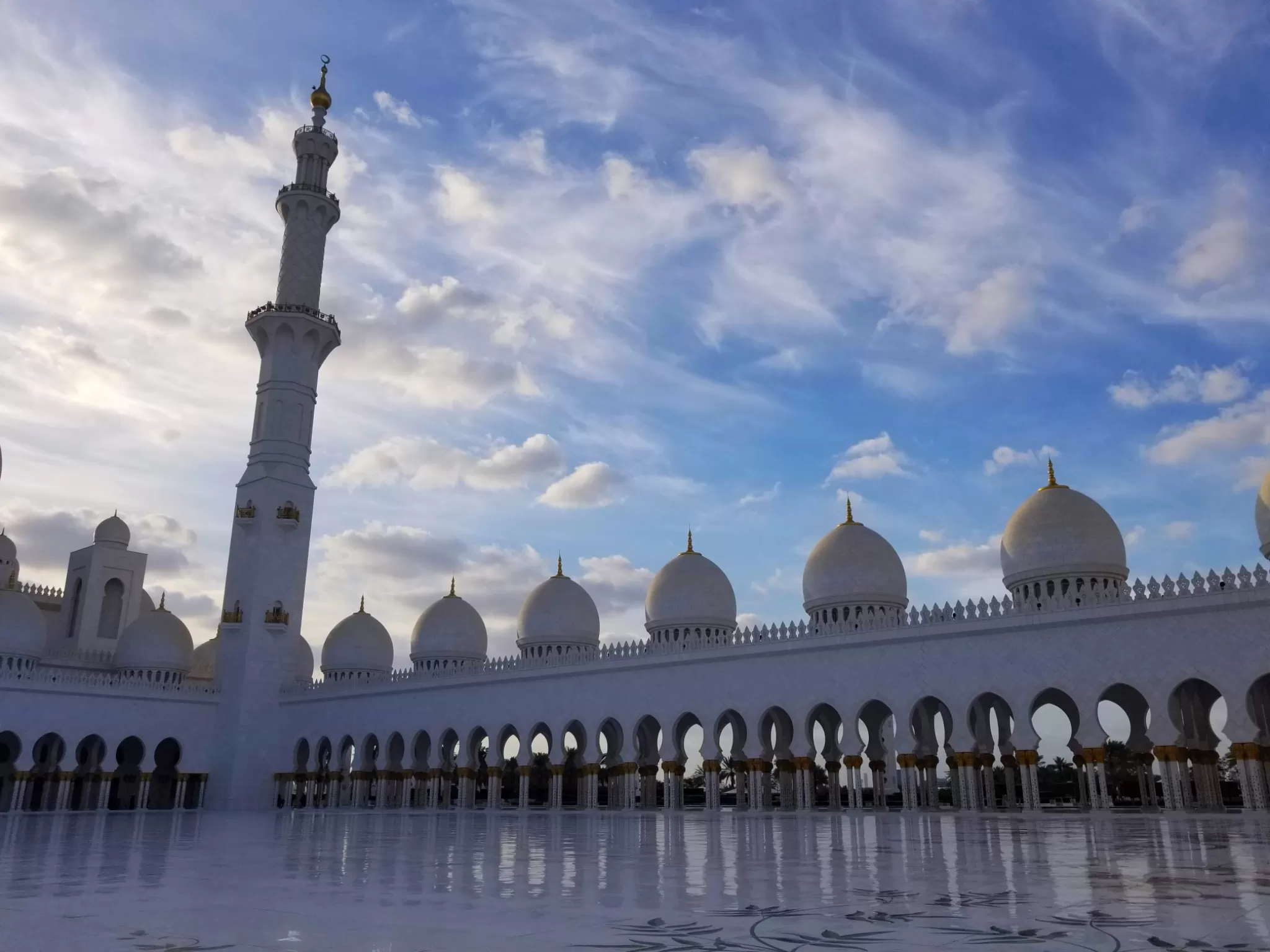 Cover Image of The wandering soul