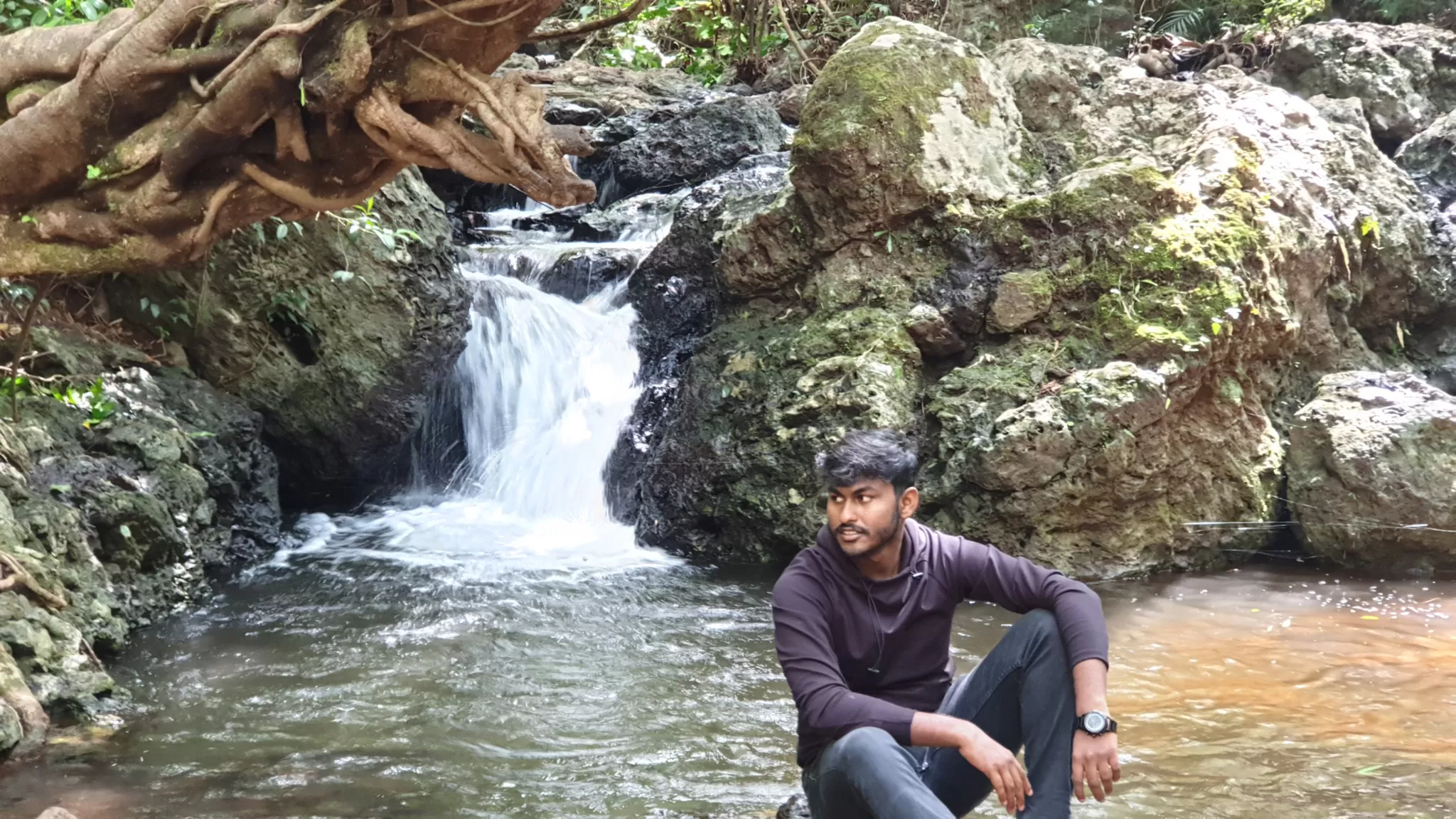 Cover Image of Prakash