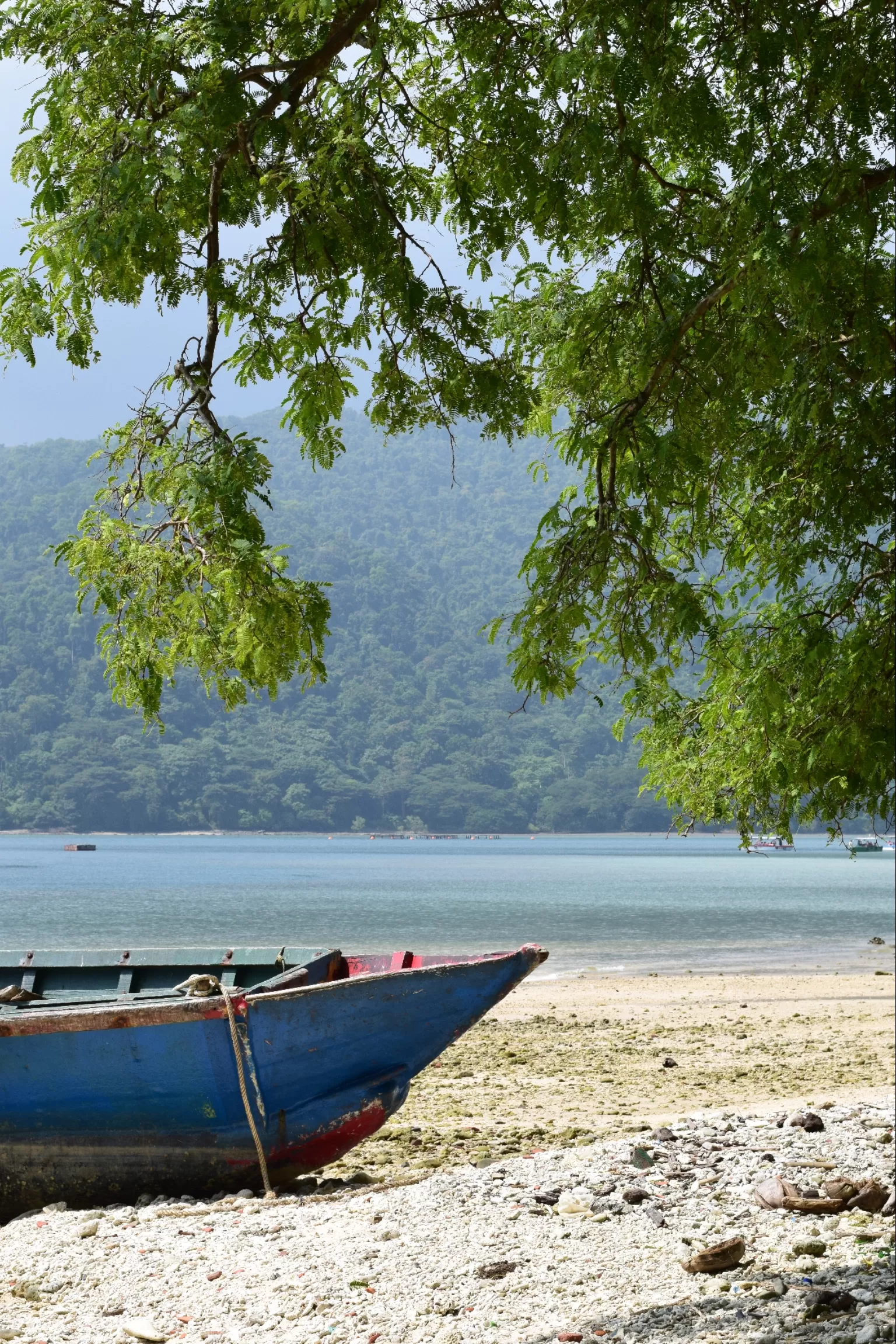 Cover Image of Sangram Jyoti Behera