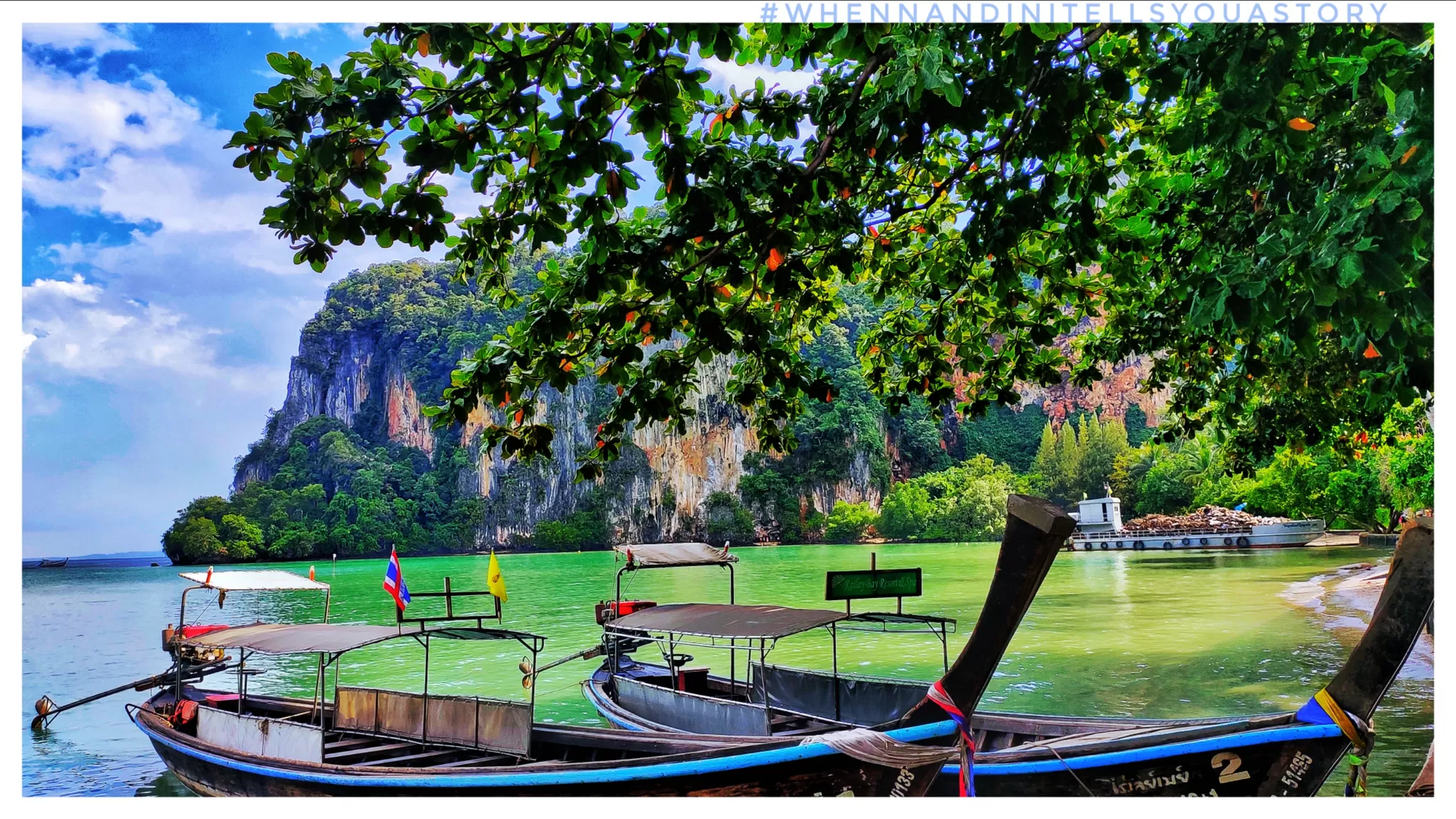 Cover Image of Nandini Bhattacharya