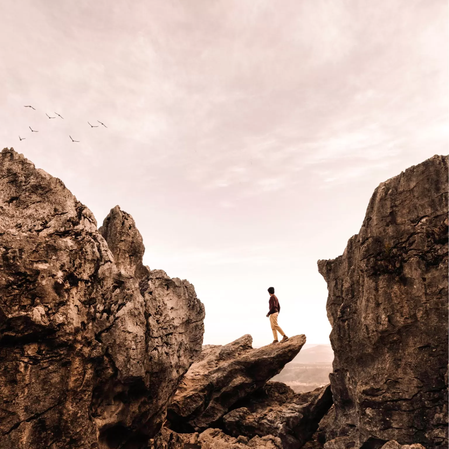 Cover Image of maldivotraveller 