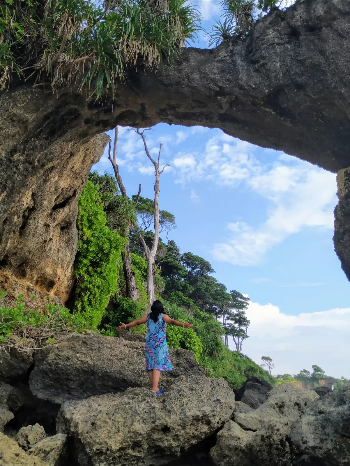 Cover Image of geetika