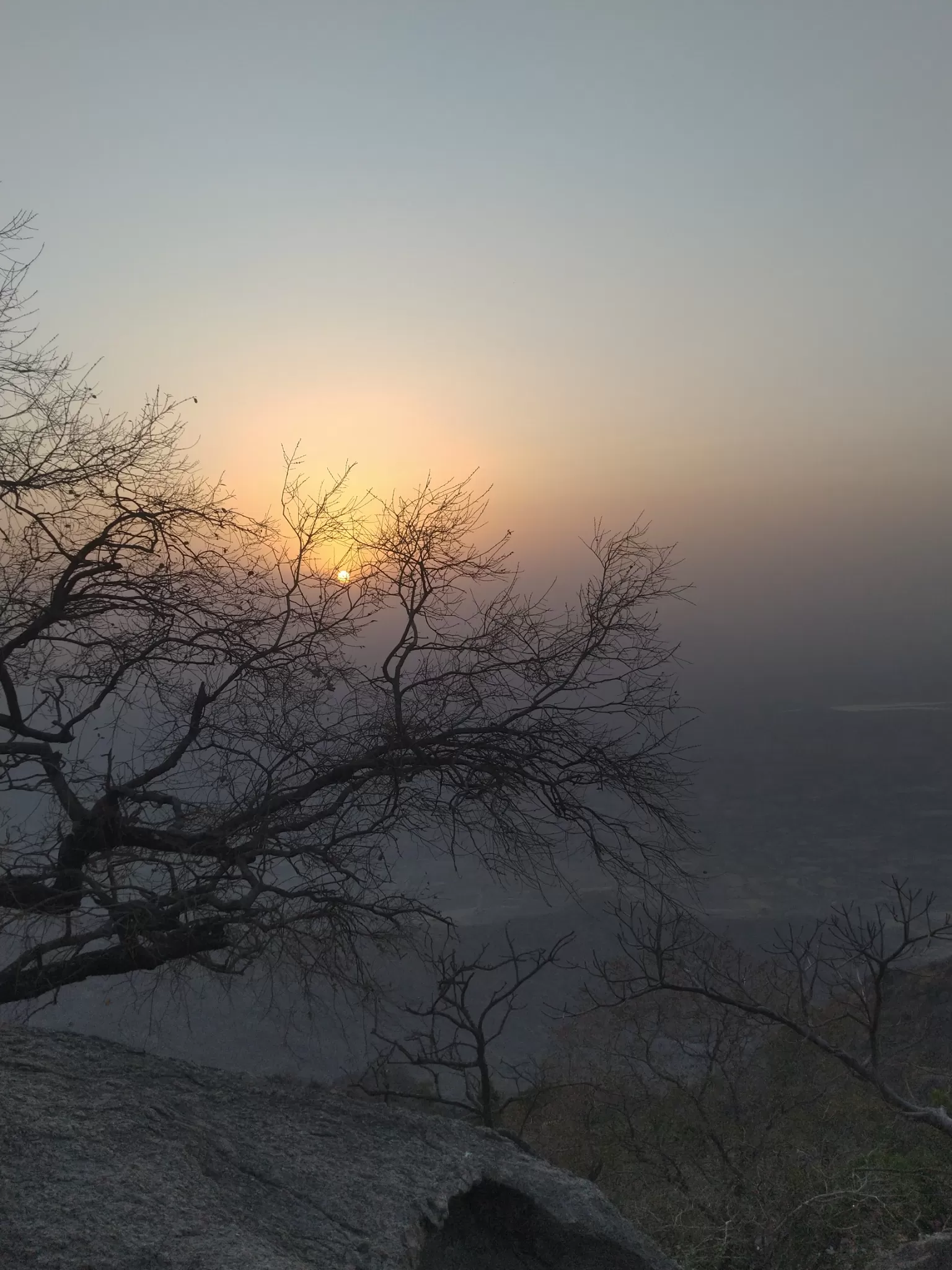 Cover Image of Shubhranshu Agrahari