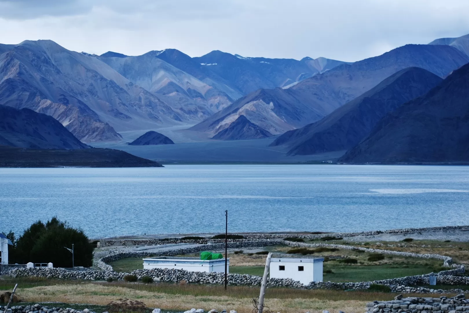 Cover Image of Supriya Basumatary