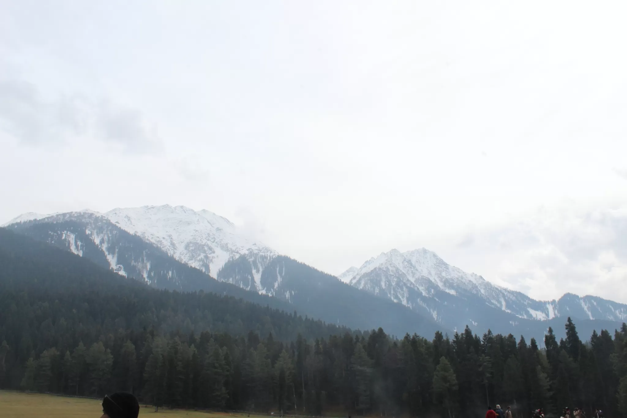 Cover Image of Sandhya Gor