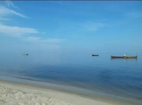 Cover Image of marariedens